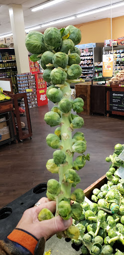 Grocery Store «City Market», reviews and photos, 72 Beaver Creek Pl, Avon, CO 81620, USA