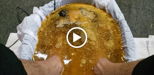 Health Food Store «Energy 4 Life Health Food Str», reviews and photos, 16135 Mack Ave, Detroit, MI 48224, USA