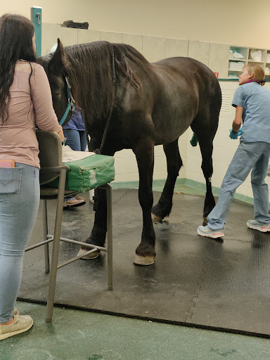 New England Equine Medical & Surgical center image