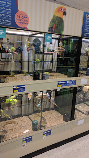 Pet Supply Store «PetSmart», reviews and photos, 3520 S El Camino Real, San Mateo, CA 94403, USA