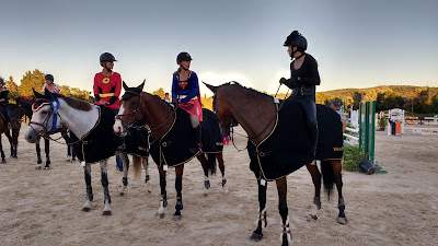 Le Cheval d'Argens à Les Arcs
