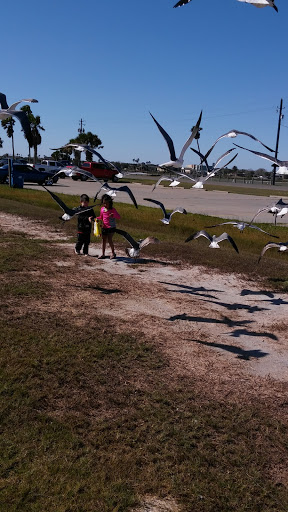 Indoor Lodging «Bayfront Cottages», reviews and photos, 309 Fulton Beach Rd, Rockport, TX 78382, USA