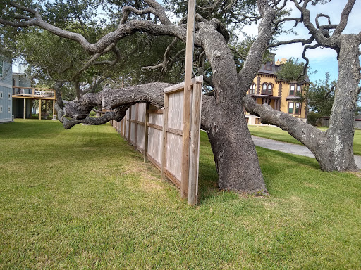 History Museum «Fulton Mansion State Historic Site», reviews and photos, 317 Fulton Beach Rd, Rockport, TX 78382, USA