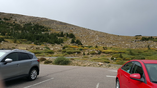 Nature Preserve «Mount Goliath Natural Area», reviews and photos, Mt Evans Rd, Evergreen, CO 80439, USA