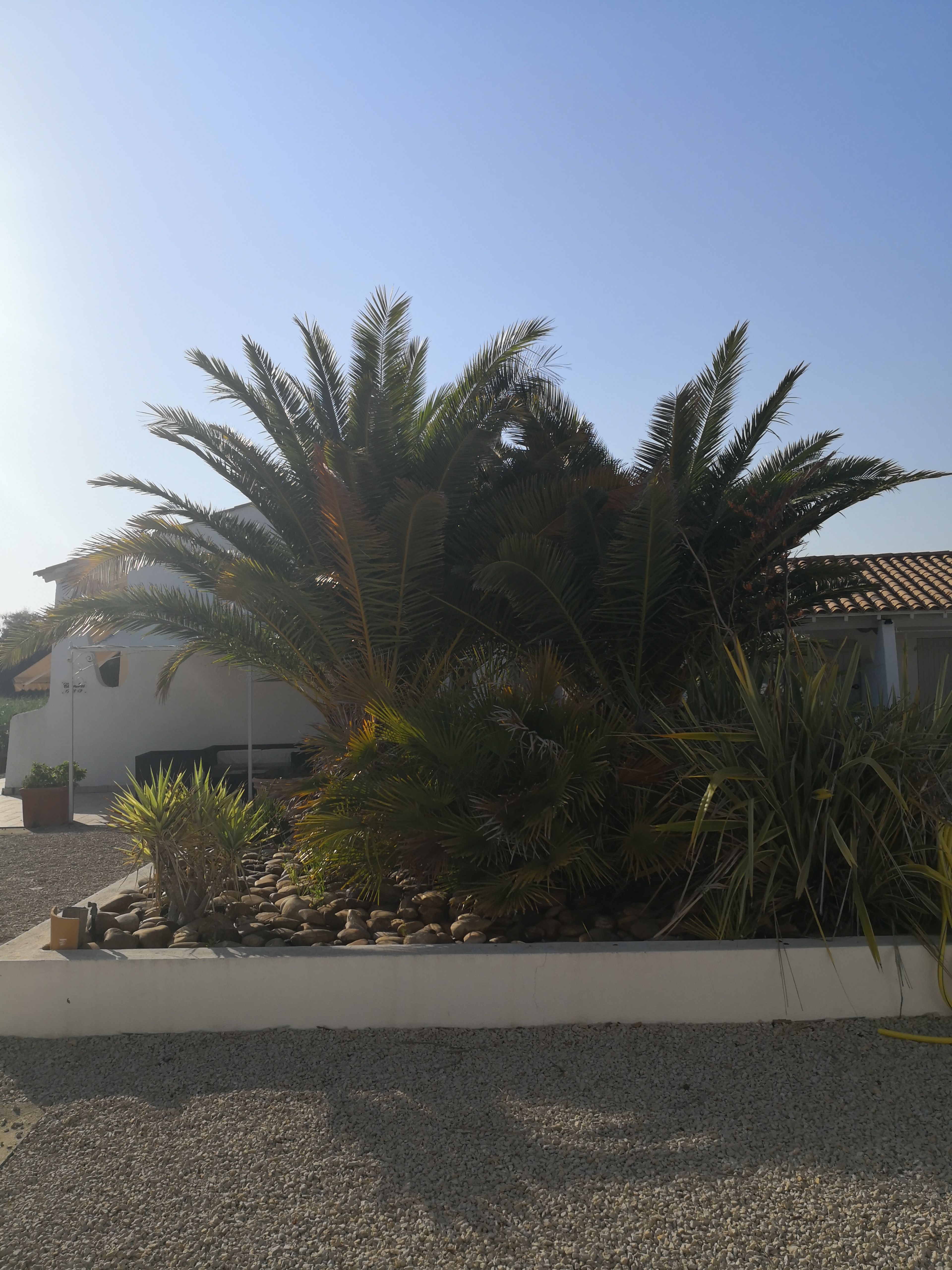 Photo n° 7 de l'avis de Pascal. fait le 04/07/2019 à 12:59