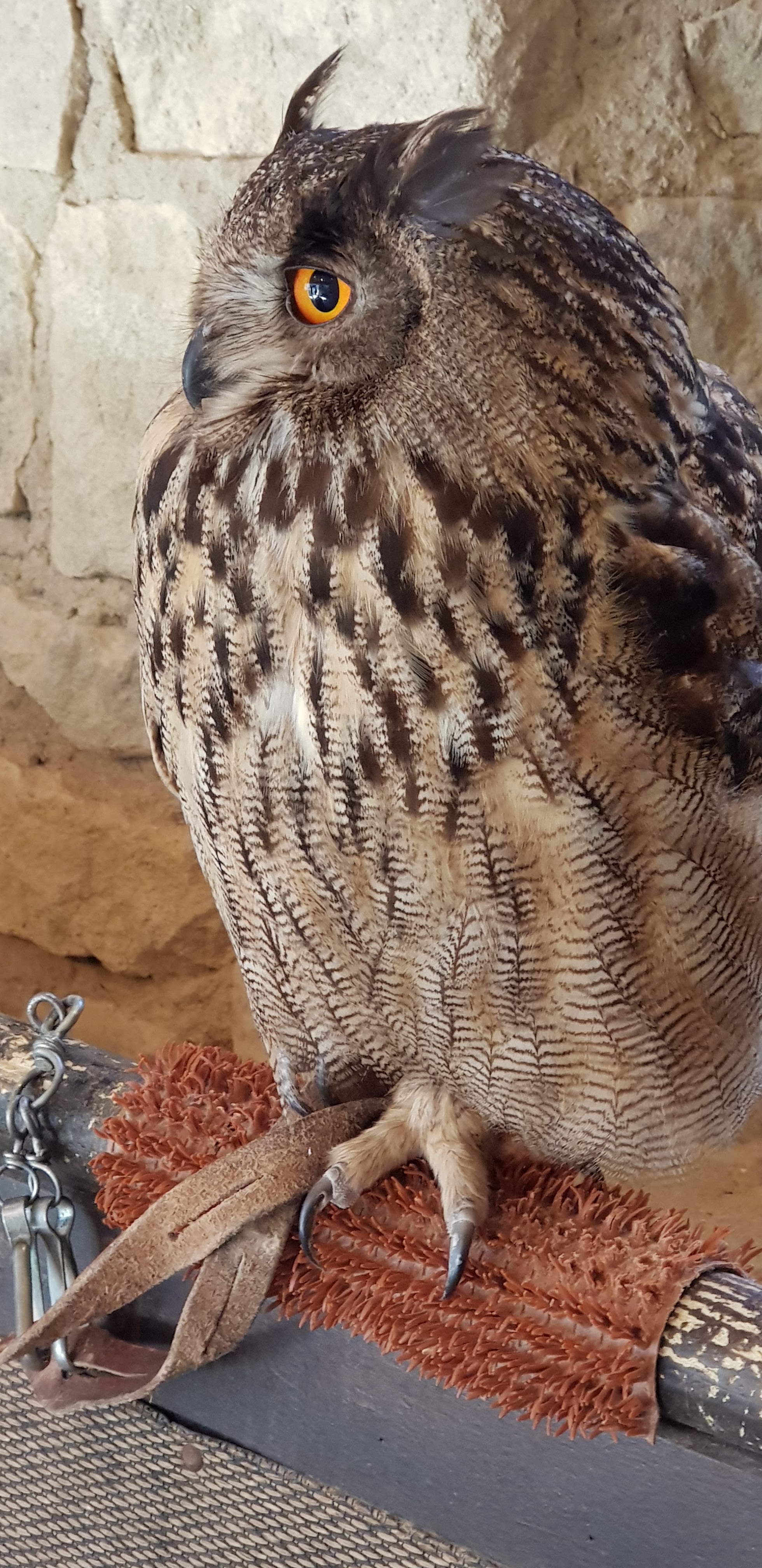 Photo n° 5 de l'avis de francois.o fait le 09/09/2018 à 14:03