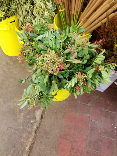 Florist «Sieck-Wright Floral Products», reviews and photos, 231 Monmouth St, Hightstown, NJ 08520, USA