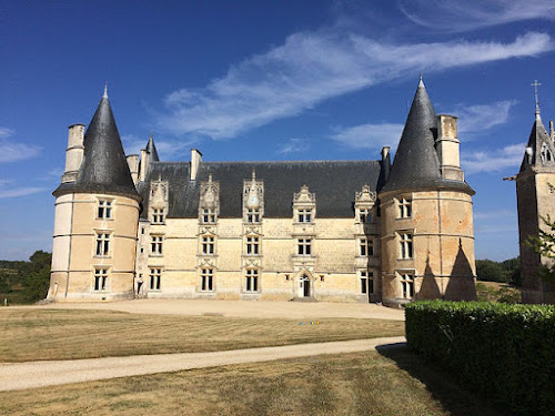 Château de La Roche à Magné