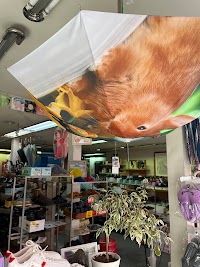 清水履物店