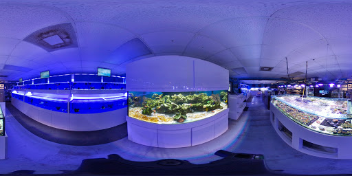 Pet Store «Reefers Direct Aquatics», reviews and photos, 3227 13th St, St Cloud, FL 34769, USA