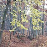 Photo n°5 de l'avis de Nancy.� fait le 21/11/2019 à 05:46 sur le  Kurhotel Bad Suderode à Quedlinburg