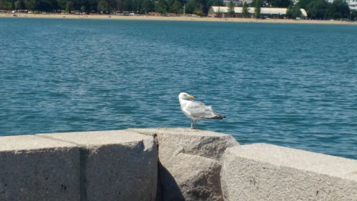 Park «Marine Park», reviews and photos, 49 Farragut Rd, Boston, MA 02127, USA
