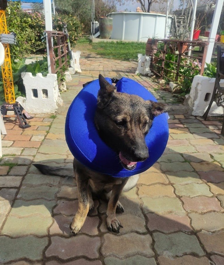 AF1QipMHQaWLqlCPVkJeWTdCpOU e7xXFVxW3d yoVBT=w768 h1000 k no