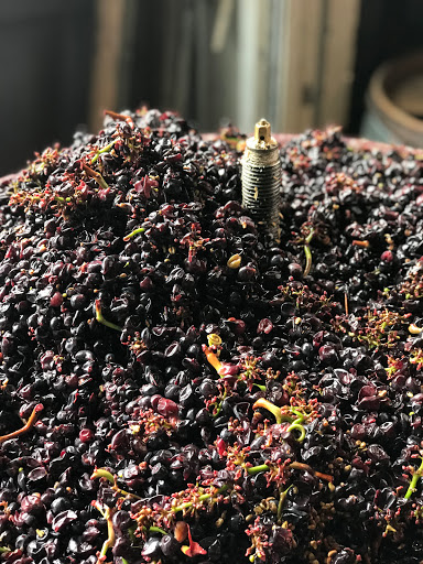 Winery «Hip Chicks do Wine», reviews and photos, 4510 SE 23rd Ave, Portland, OR 97202, USA