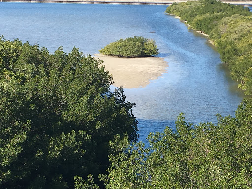 Newman Creek