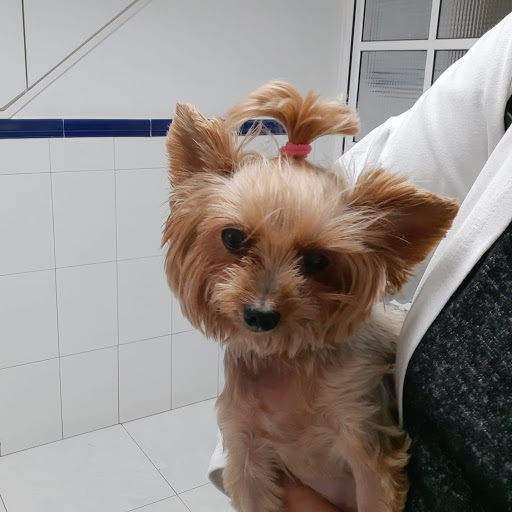 Hospital Veterinario Benalmadena Costa en Benalmádena