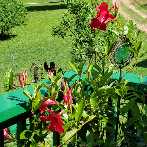 705 Gilmer Rd, Longview, TX 75604, USA