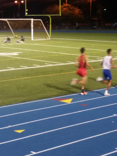 Stadium «Nathaniel Traz-Powell Stadium», reviews and photos, 11380 NW 27th Ave, Miami, FL 33167, USA