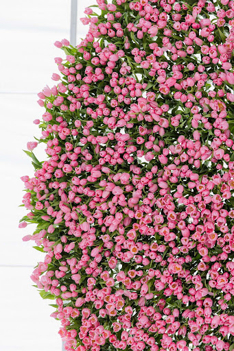 Florist «Bella Flora of Dallas», reviews and photos, 118 Oak Lawn Ave, Dallas, TX 75207, USA