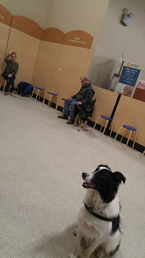 Pet Supply Store «PetSmart», reviews and photos, 24 Countryside Plaza, Countryside, IL 60525, USA