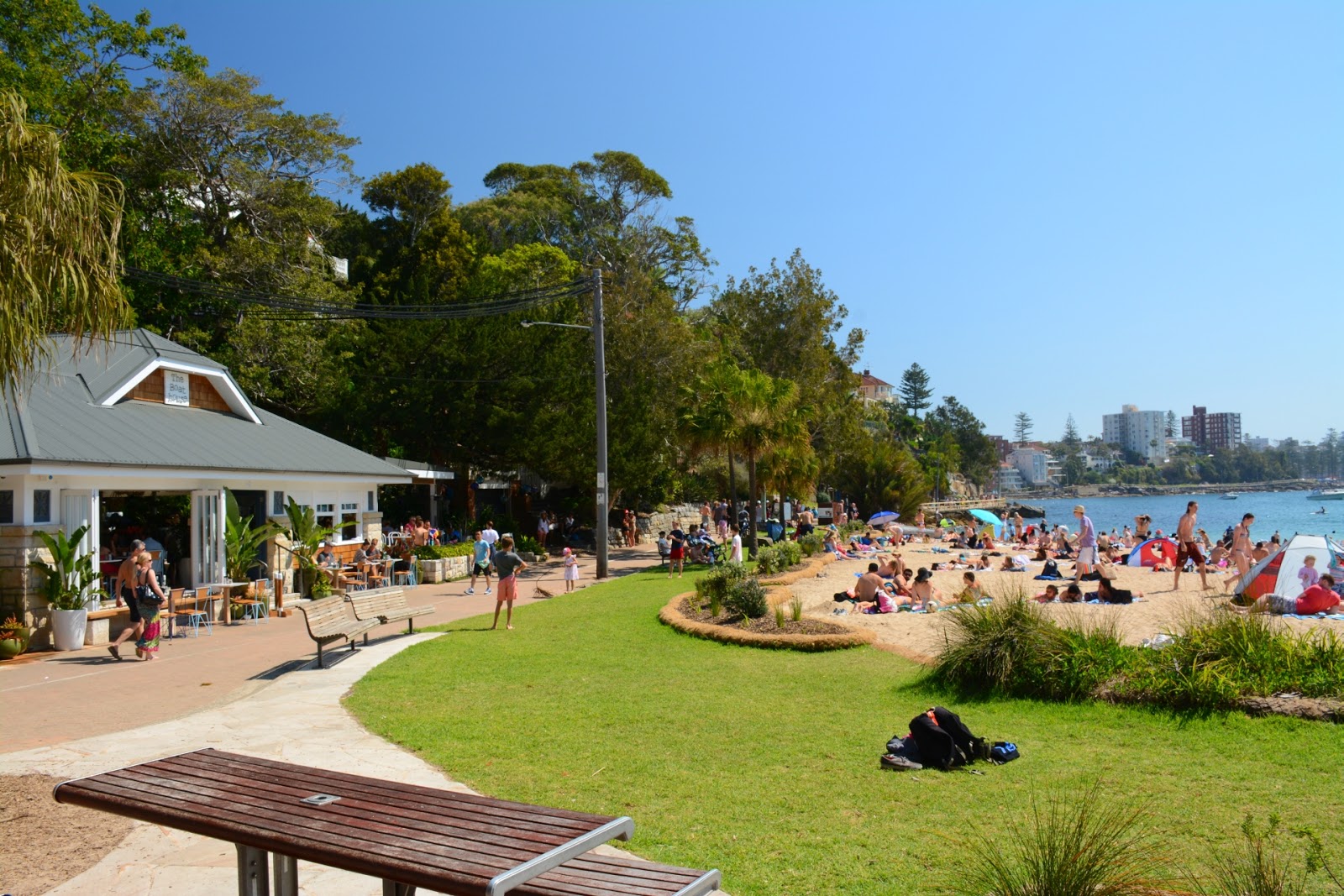 Shelly Beach photo #7