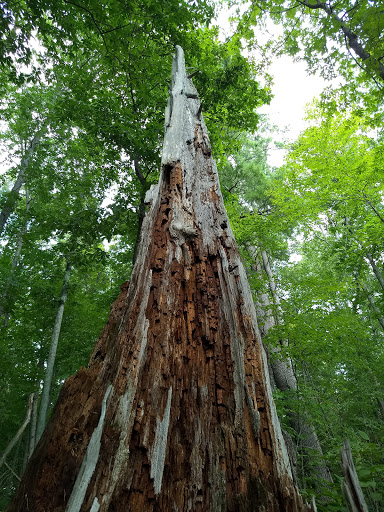 Golf Club «Crystal Lake Golf Club», reviews and photos, 940 N Broadway, Haverhill, MA 01832, USA