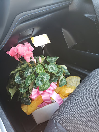 Florist «Alfa Flower Shop», reviews and photos, 7001 W North Ave, Wauwatosa, WI 53213, USA