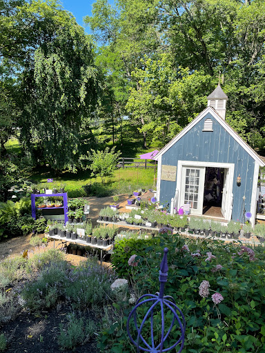 Farm «Blooming Hill Lavender Farm», reviews and photos, 19929 Telegraph Springs Rd, Purcellville, VA 20132, USA