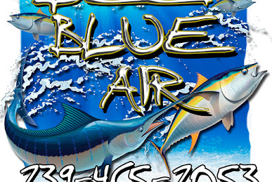 Deep Blue Air, Inc. Review & Contact Details