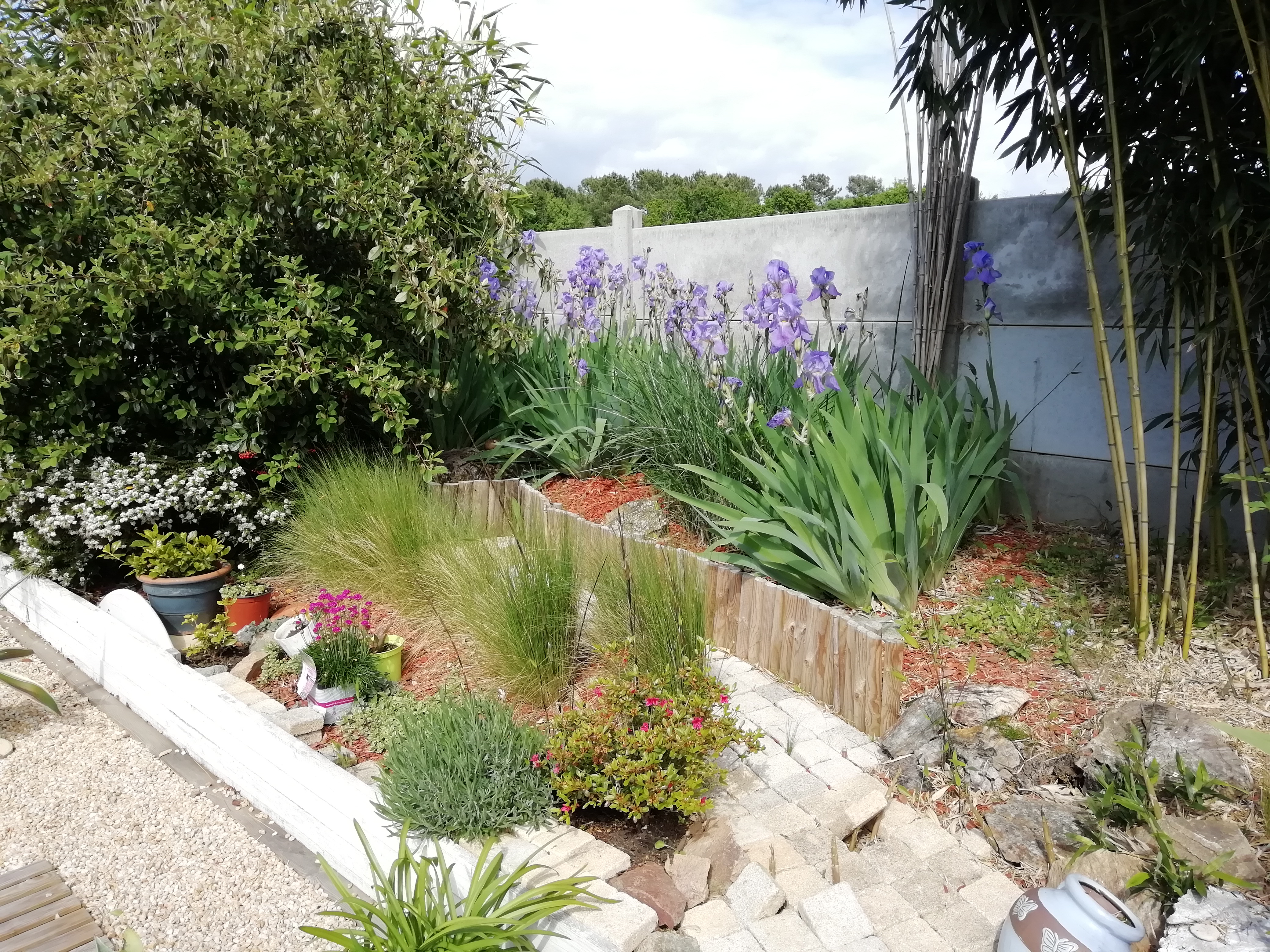 Photo n° 1 de l'avis de Maryvonne.u fait le 10/06/2019 à 15:29