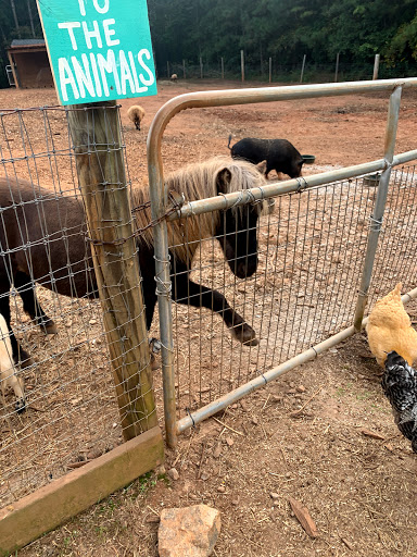 Christmas Tree Farm «Sleepy Hollow Farm & Escape Woods», reviews and photos, 628 Sleepy Hollow Rd, Powder Springs, GA 30127, USA