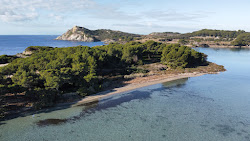 Plage du Grand Gaou'in fotoğrafı geniş bir kıyı şeridi ile birlikte