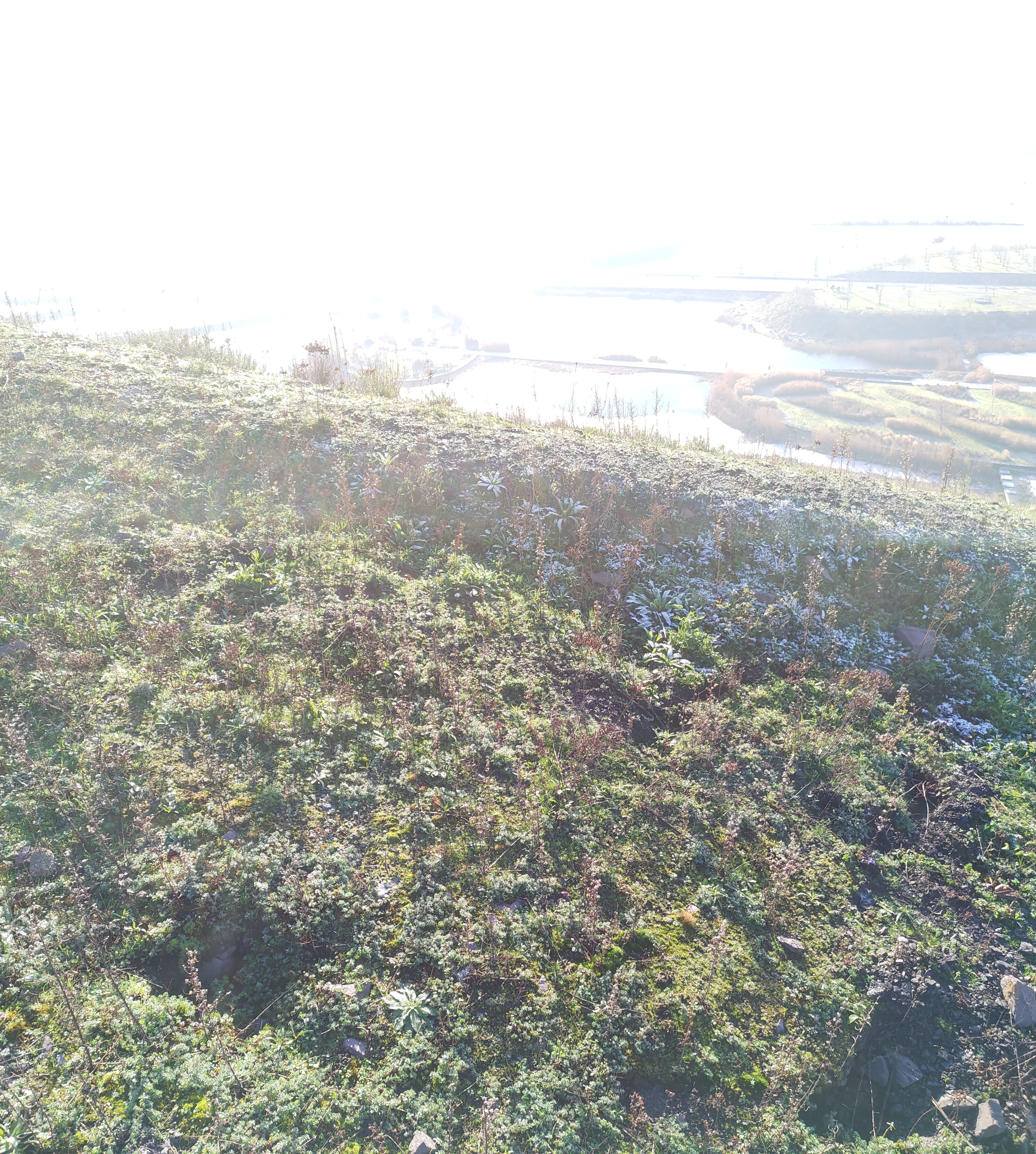 Photo n° 3 de l'avis de Alexis.o fait le 17/01/2021 à 18:57