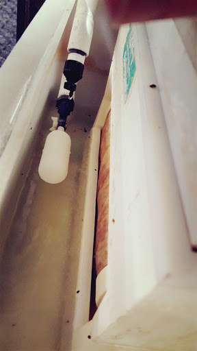 Pet Supply Store «Pet Supplies Plus», reviews and photos, 305 Sidney Baker St S #400, Kerrville, TX 78028, USA