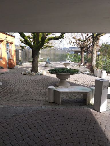 site_photo1