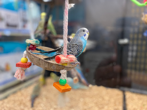 Pet Supply Store «PetSmart», reviews and photos, 9870 Brook Rd, Glen Allen, VA 23059, USA