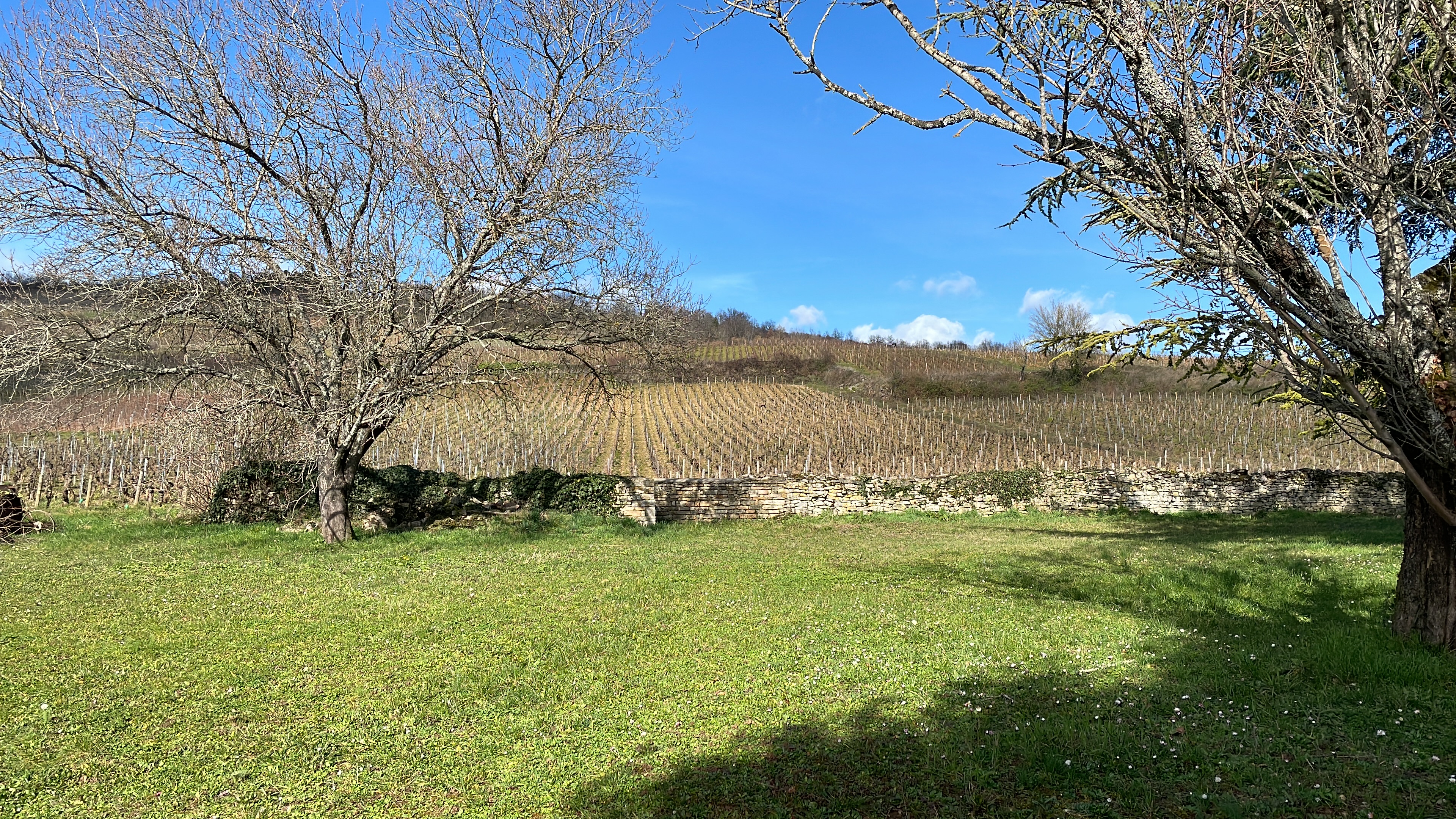 Photo n° 1 de l'avis de Romain.a fait le 20/02/2022 à 12:29