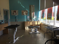 Petco - Photo 2 - Car repair in Fort Oglethorpe, GA, Chattanooga