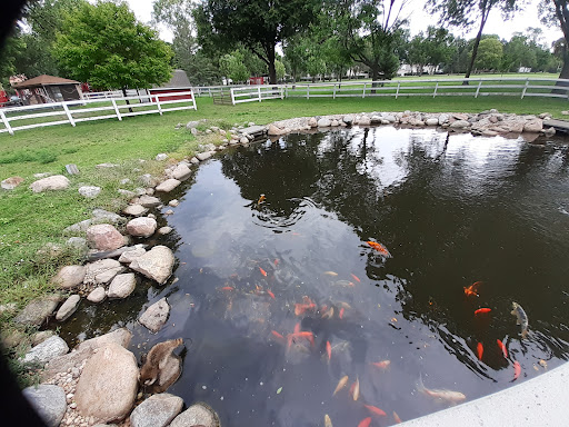 Zoo «Sibley Farm», reviews and photos, 900 Mound Avenue, Mankato, MN 56001, USA