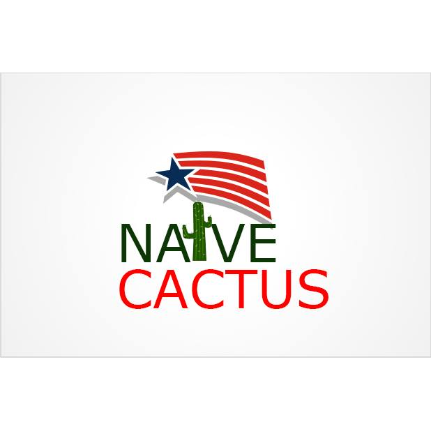 Naive Cactus Business Ventures