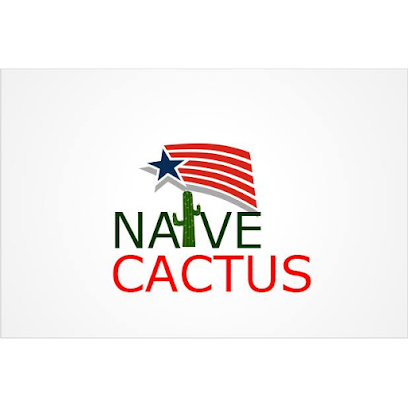 Naive Cactus Business Ventures