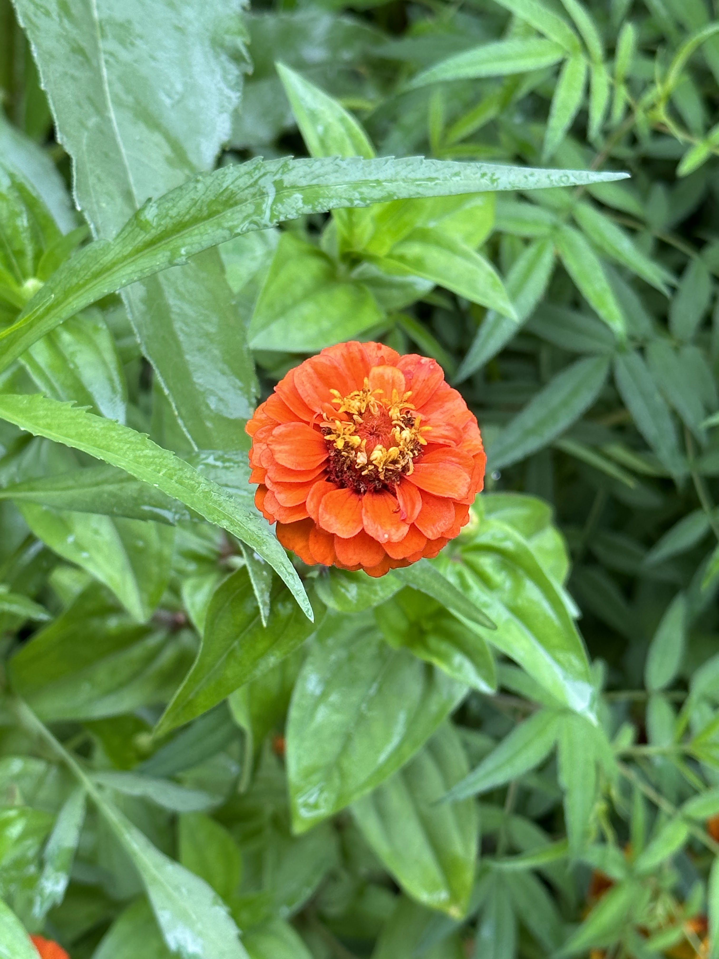 Photo n° 3 de l'avis de P.d fait le 28/08/2023 à 06:51