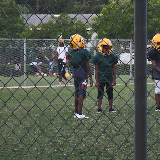 Stadium «City of Palms Park», reviews and photos, 2201 Edison Ave, Fort Myers, FL 33901, USA