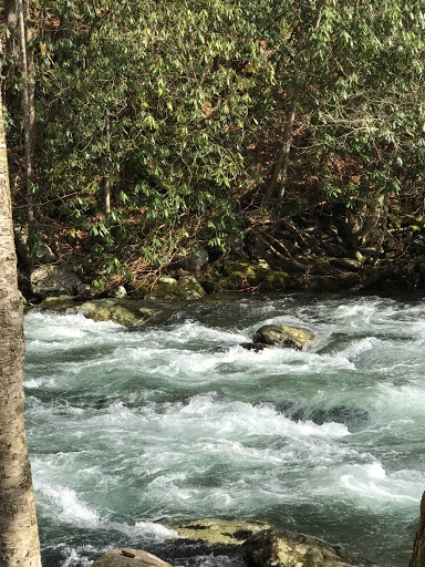 Park «Griffing Park», reviews and photos, 12220 Griffing Blvd, North Miami, FL 33161, USA