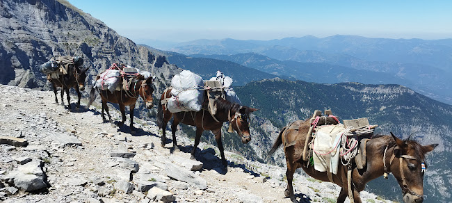 Εθνικός Δρυμός Ολύμπου - Αλλος