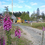 Photo n°6 de l'avis de Der.t fait le 02/10/2020 à 09:46 sur le  Marienteichbaude à Bad Harzburg