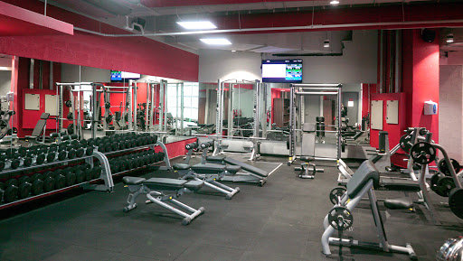Snap Fitness Media City | Best Gym in Dubai