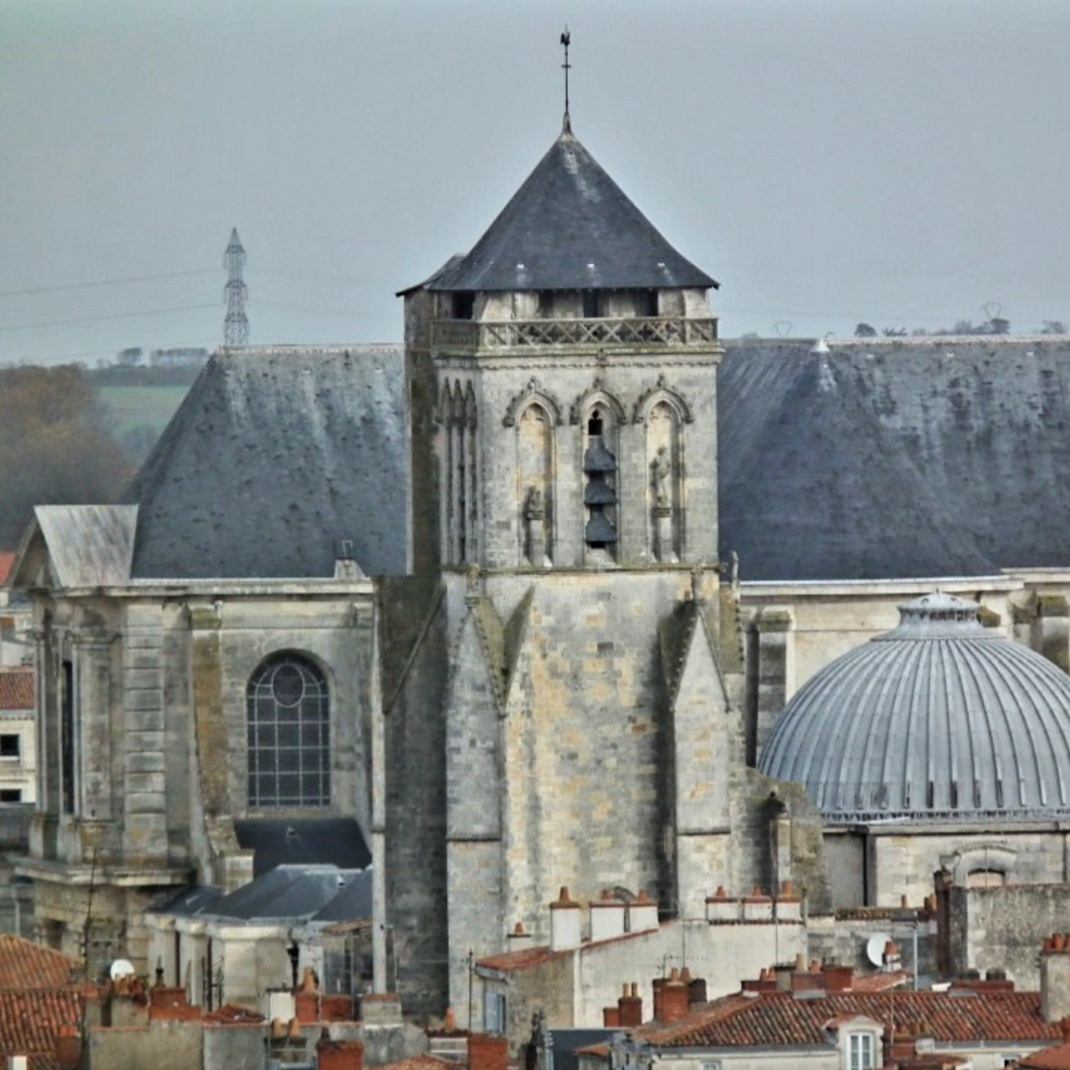 Photo n° 1 de l'avis de Michel.a fait le 21/03/2021 à 19:19