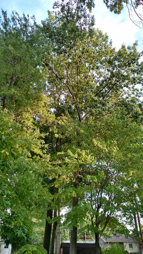 Recreation Center «Seven Hills Recreation Center», reviews and photos, 7777 Summit View Dr, Seven Hills, OH 44131, USA