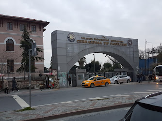 İstanbul ÜniversitesiCerrahpaşa Cerrahpaşa Tıp Fakültesi